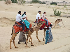 jaisalmer (241)